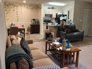 300 falling leaf Ln apt. 324