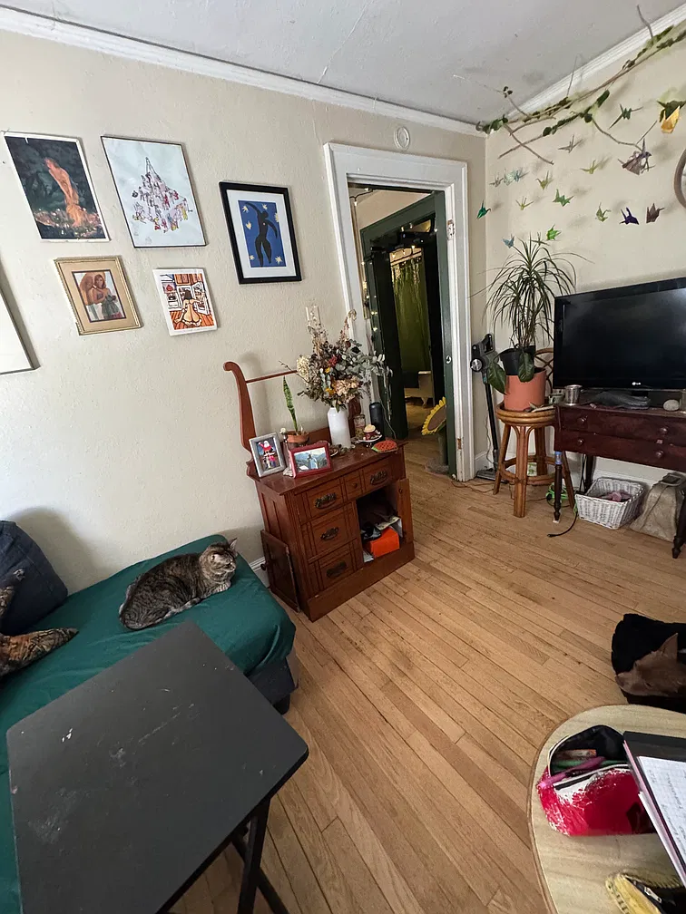 W AVL 2 bed 1 bath apartament