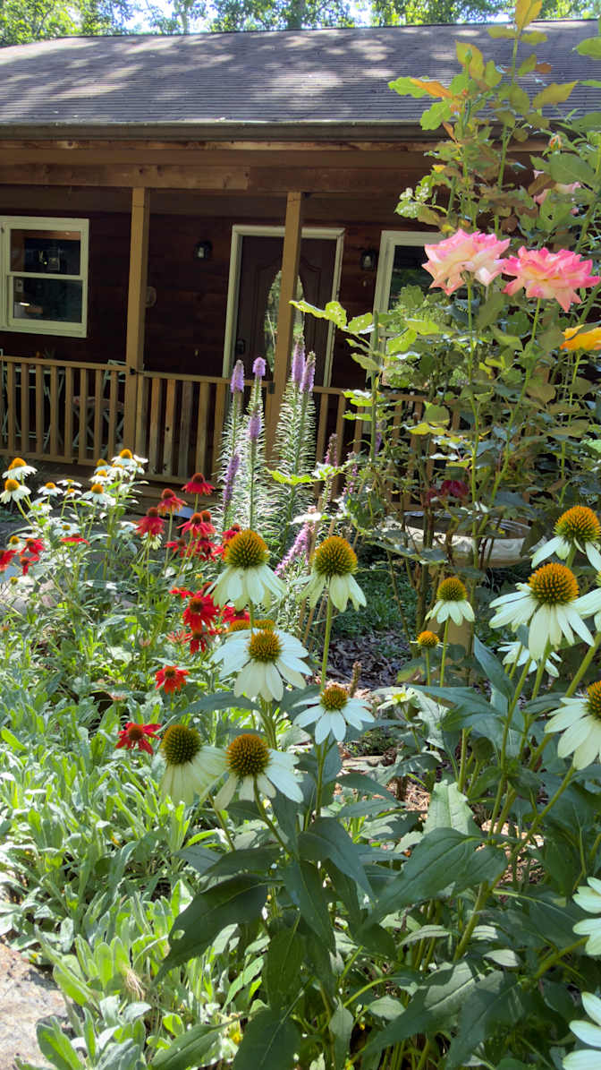 Furnished or Unfurnished Room + Private Bath in Beautiful Riceville Forest