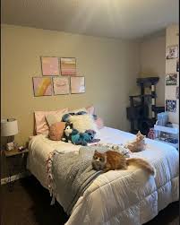 Student apartment near downtown
