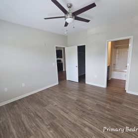 Roommate Needed for West Asheville Apartment